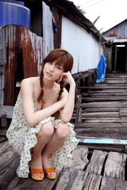 新生电视剧在线观看免费完整版